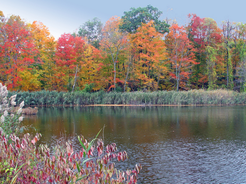 New Hampshire